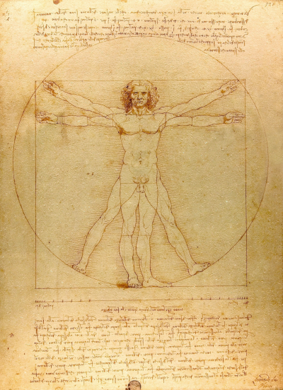 Vitruvian Man Leonardo da Vinci